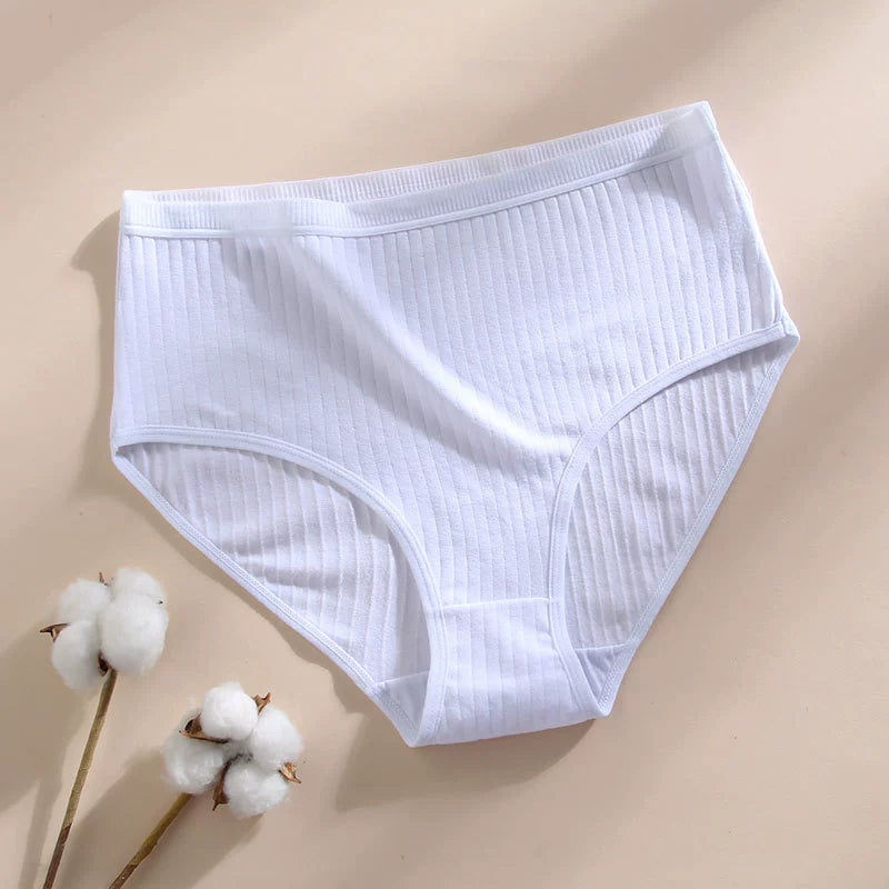 Slip Premium in Cotone Antibatterico