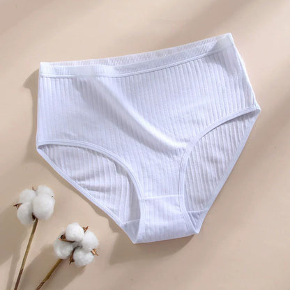 Slip Premium in Cotone Antibatterico