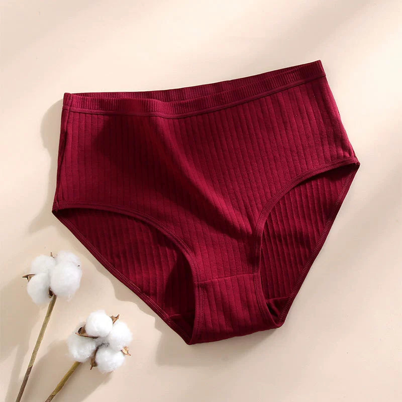Slip Premium in Cotone Antibatterico