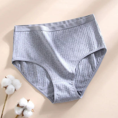 Slip Premium in Cotone Antibatterico